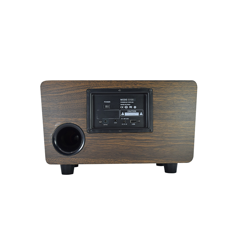 Model:S100